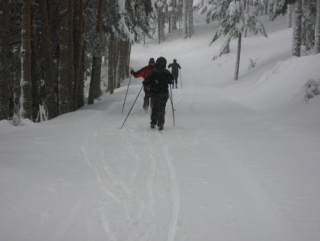 Travesia en la nieve